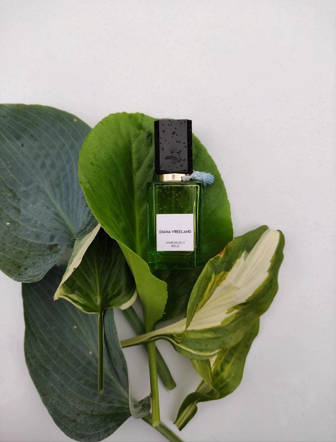 Diana Vreeland Vivaciously Bold