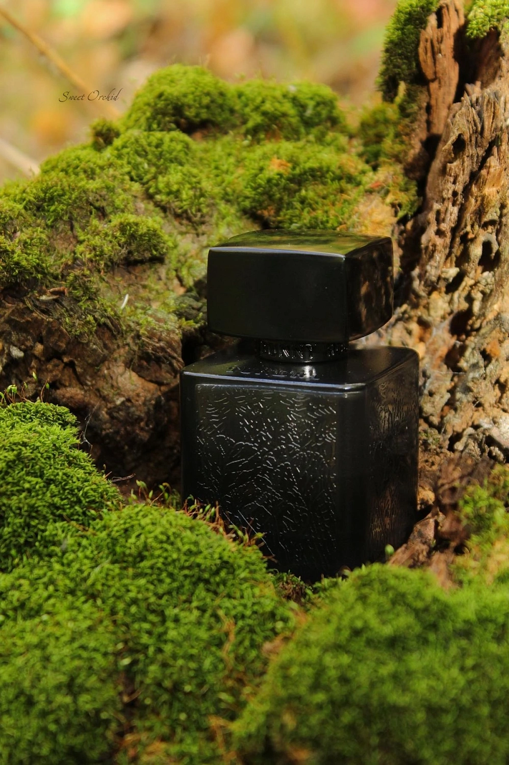 Rouge Bunny Rouge Tundra