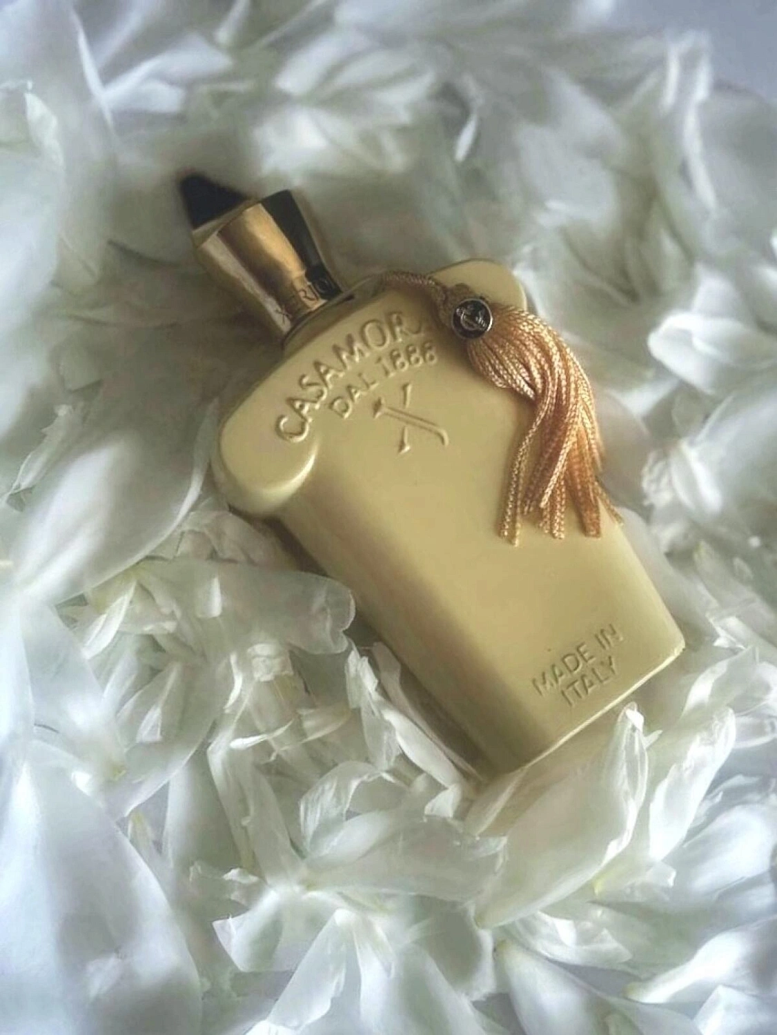 Xerjoff Casamorati 1888 Fiore D'Ulivo