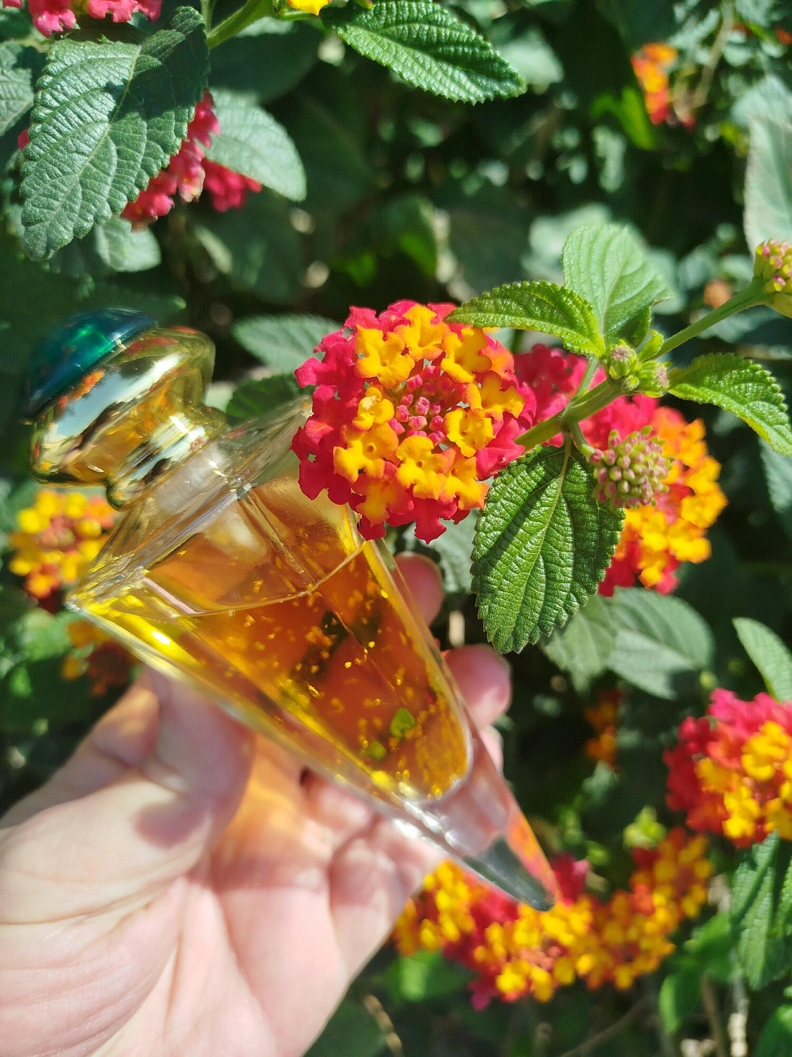 Ilana Jivago 24K The Unforgettable Golden