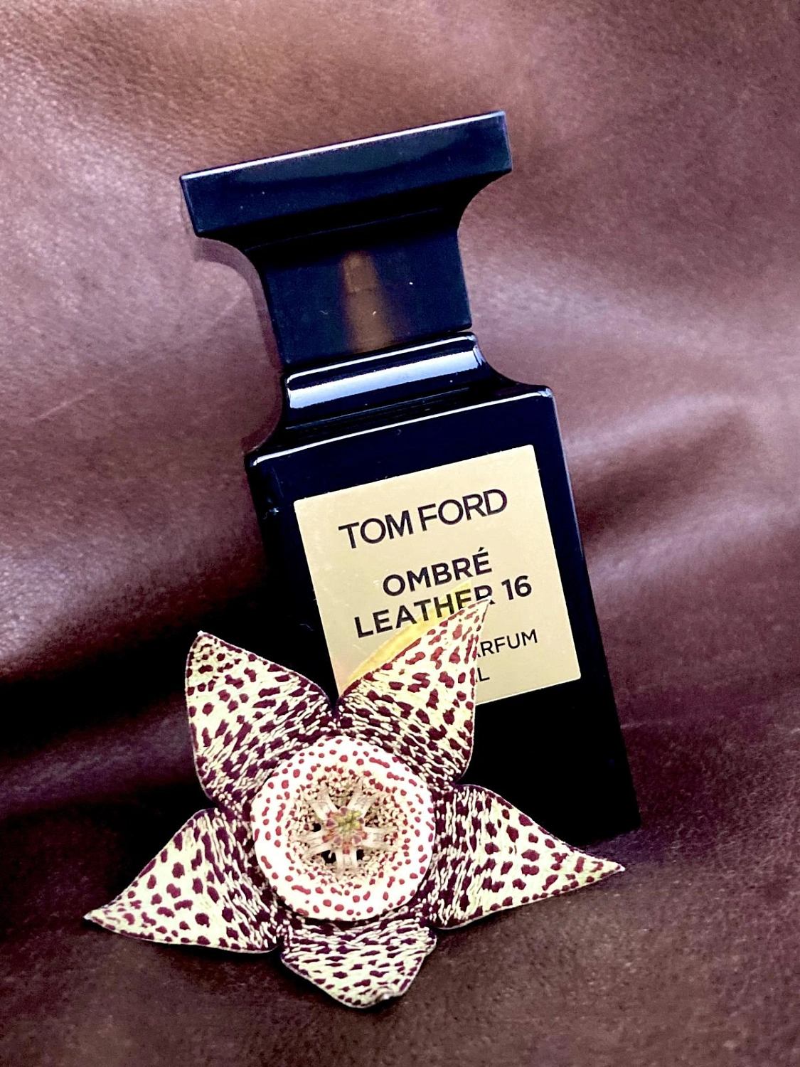 Tom Ford Ombre Leather 16