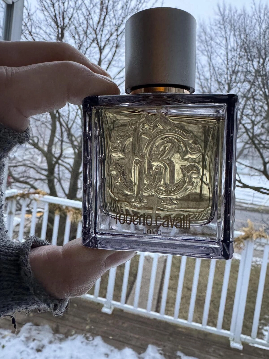 Roberto Cavalli Uomo Silver Essence