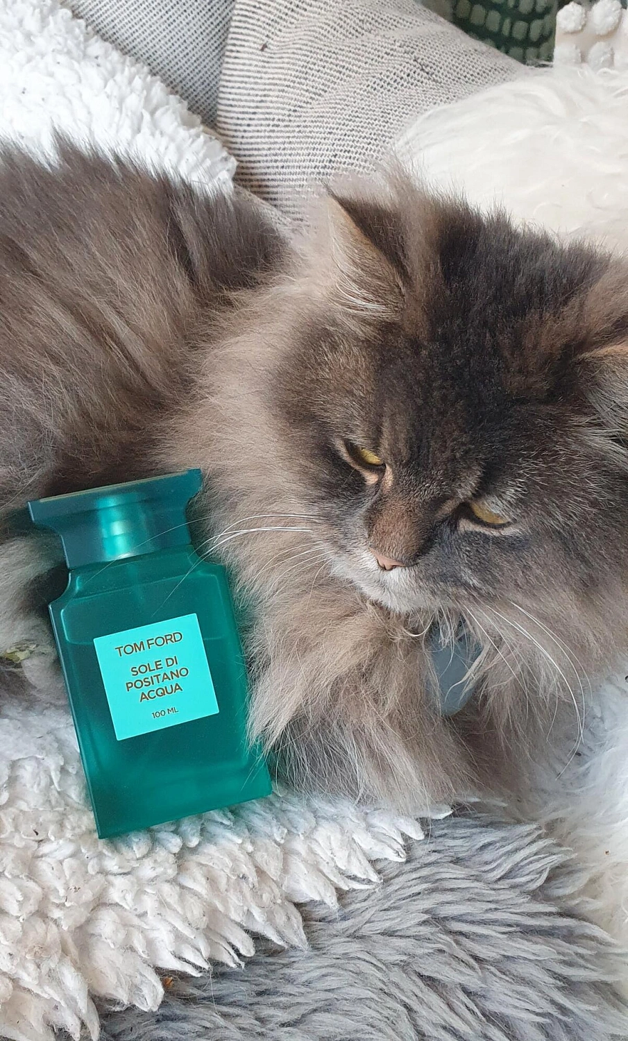 Tom Ford Sole Di Positano Acqua