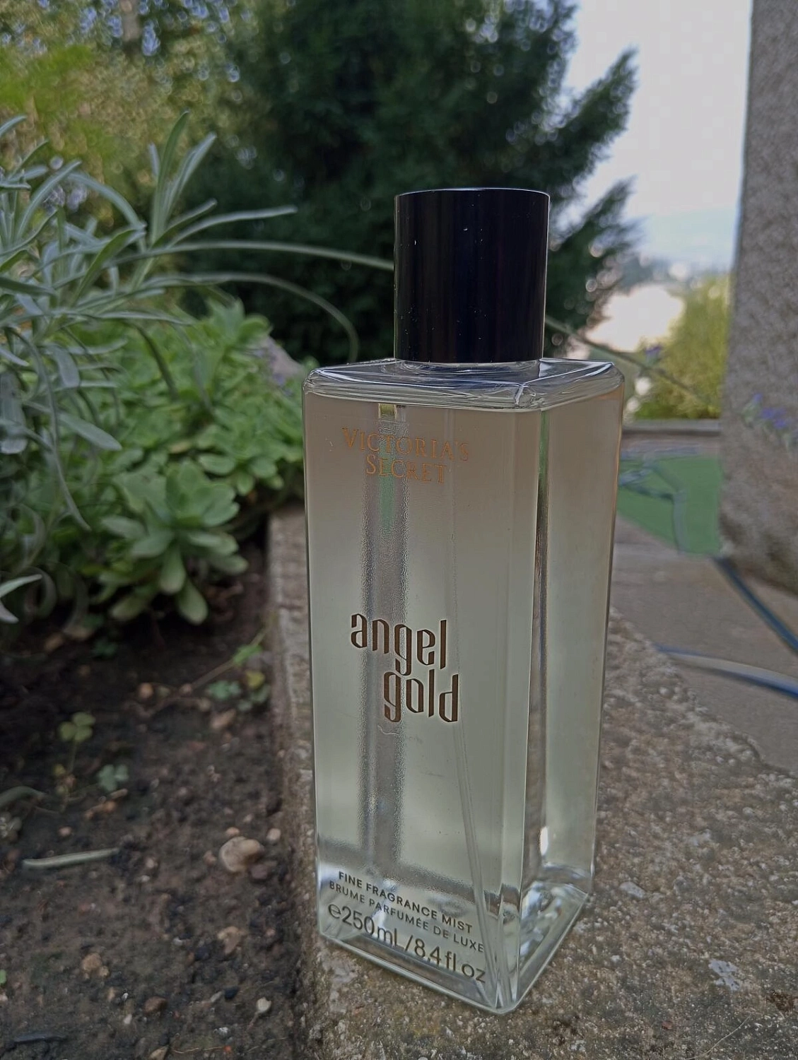 Victoria`s Secret Angel Gold Victoria`s Secret Angel Gold
