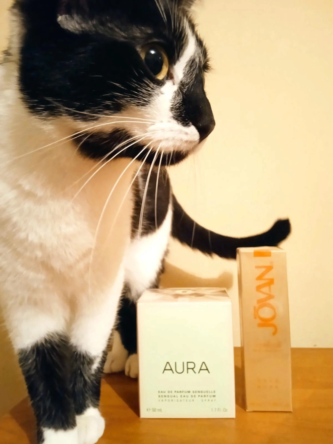 Jovan Musk for Women