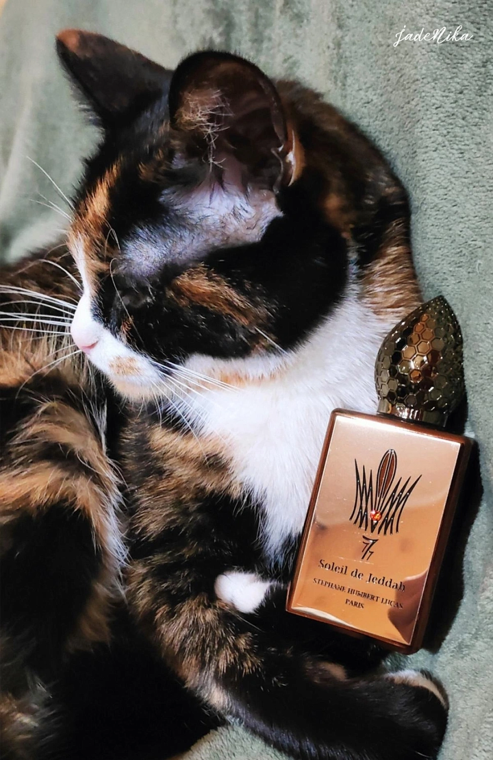 Stephane Humbert Lucas 777 Soleil de Jeddah - Afterglow