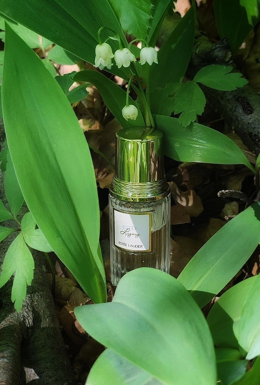 Estee Lauder Estee Legacy