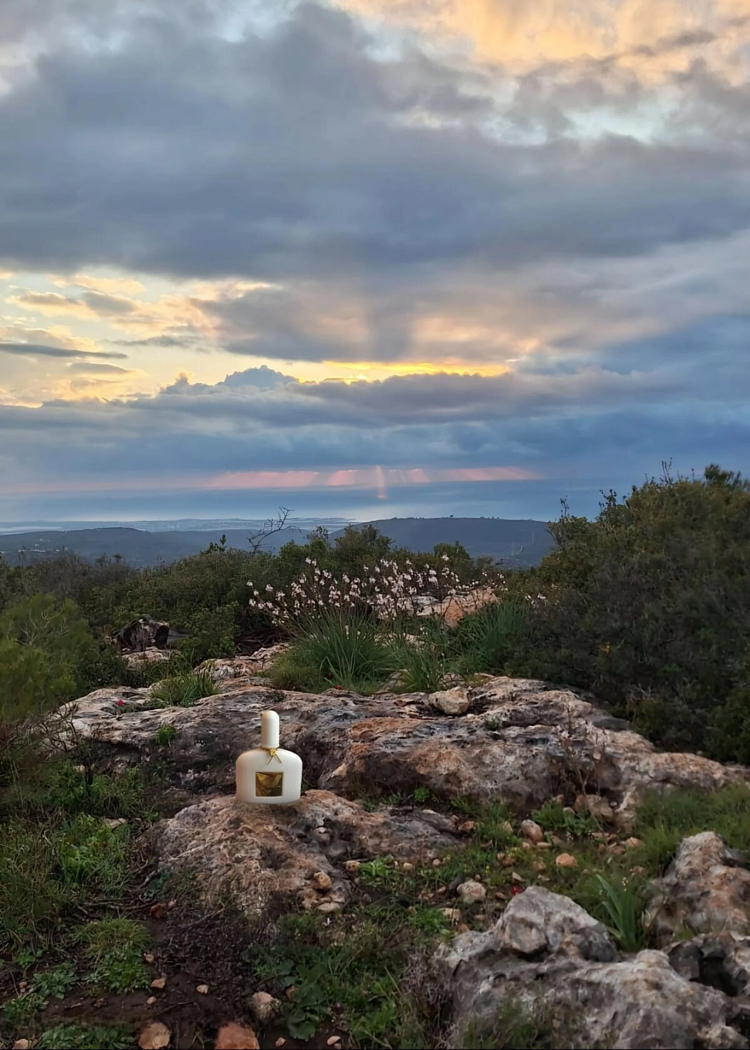 Tom Ford White Patchouli