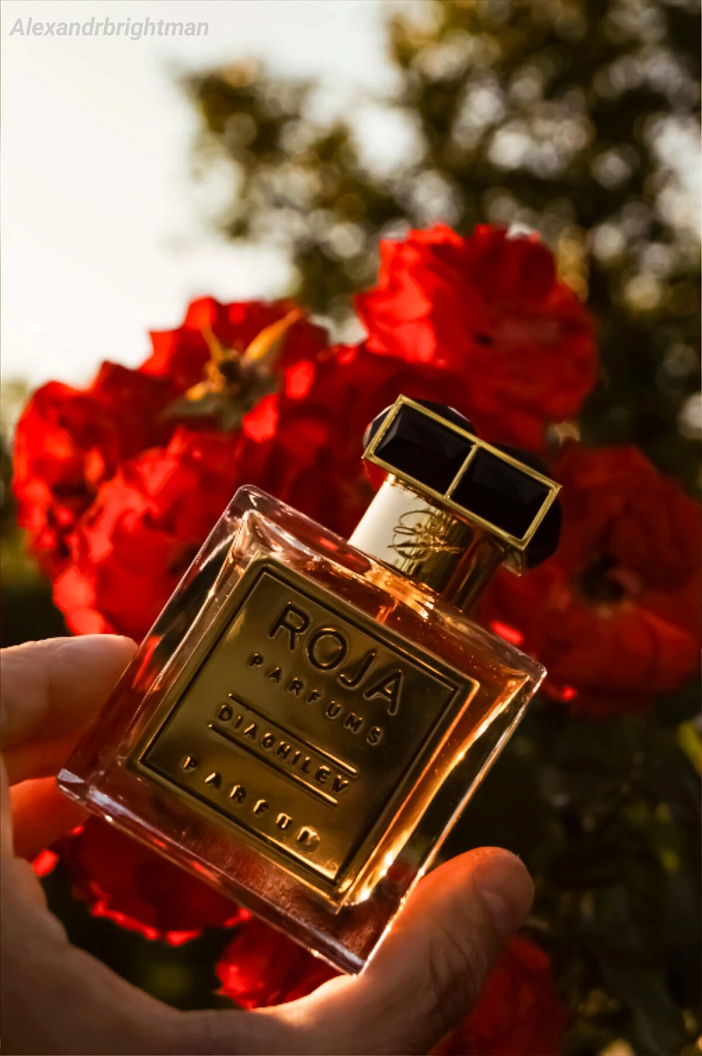 Roja Parfums Diaghilev
