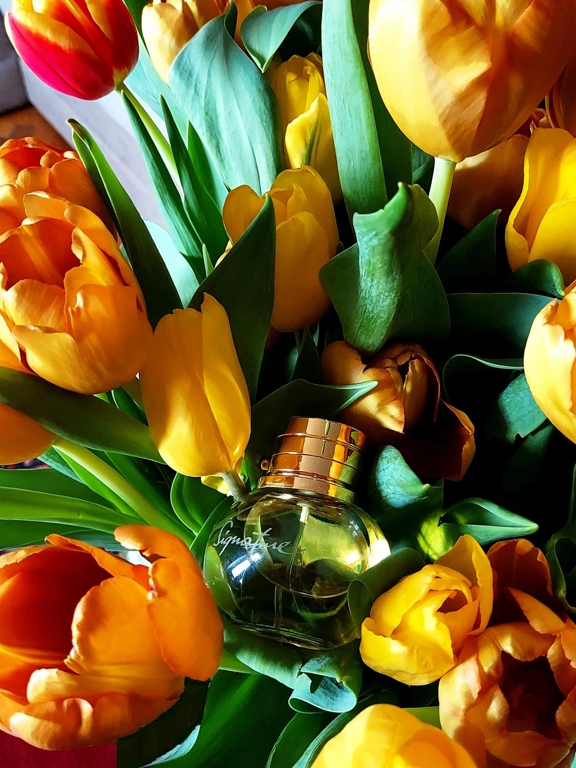 S.T.Dupont Signature