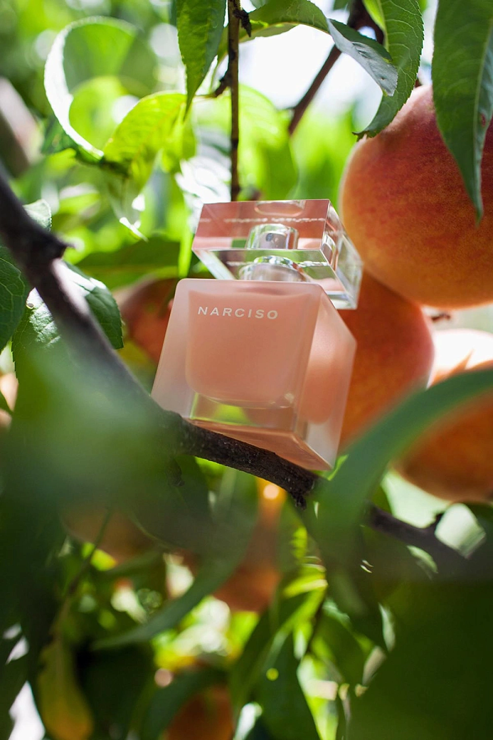 Narciso Rodriguez Eau Neroli Ambree Narciso Rodriguez Eau Neroli Ambree