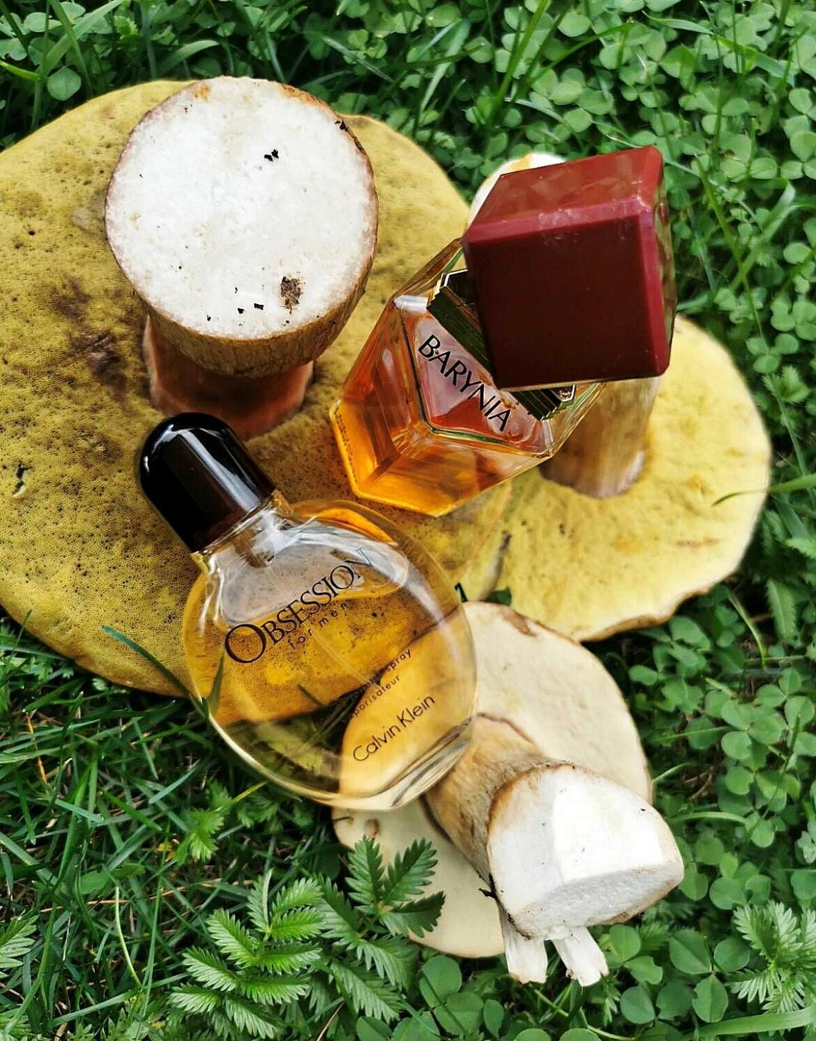 Helena Rubinstein Barynia