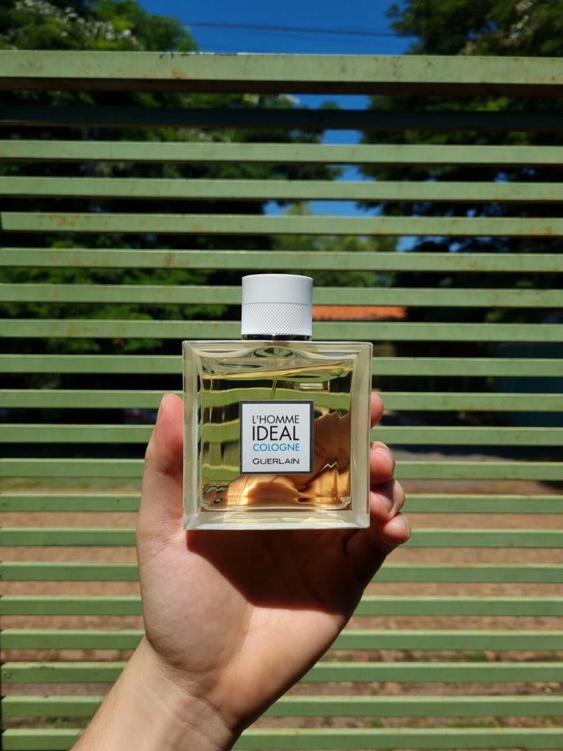 Guerlain L'Homme Ideal Cologne