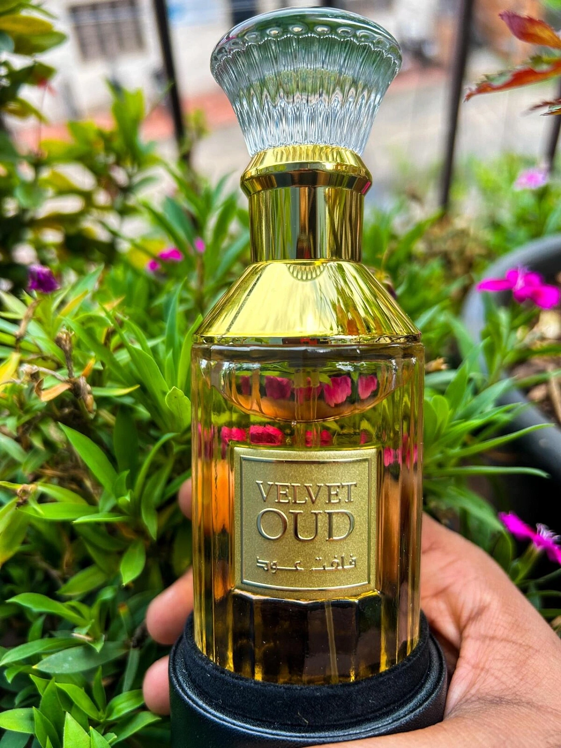 Lattafa Velvet Oud Lattafa Velvet Oud