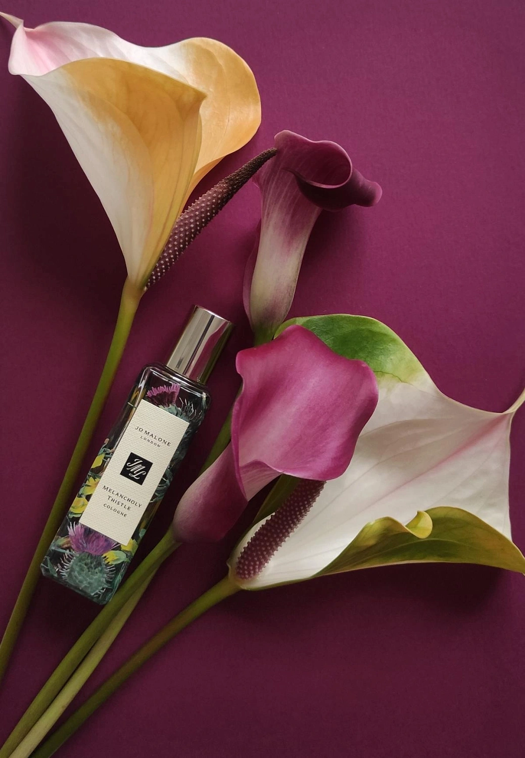 Jo Malone Melancholy Thistle