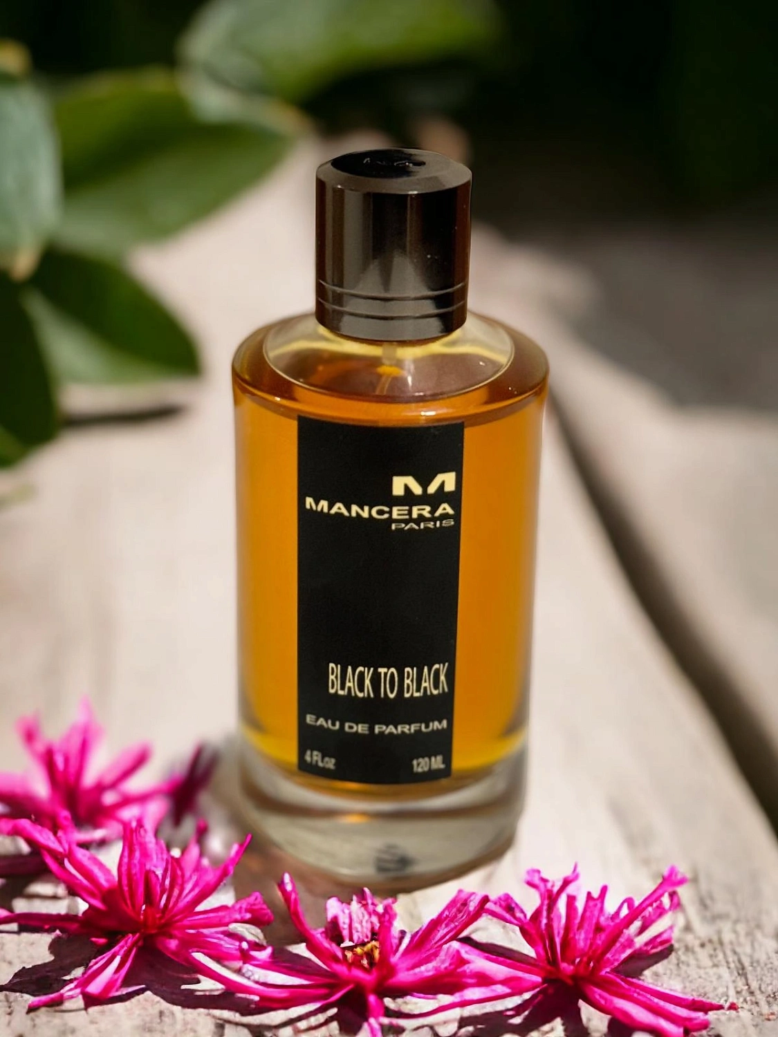 Mancera Black to Black