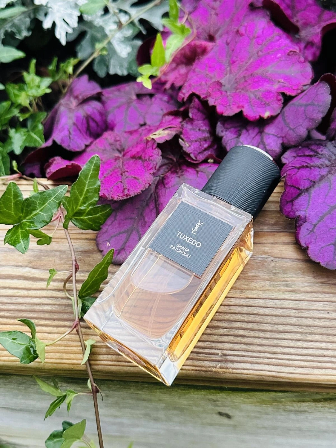 Yves Saint Laurent Tuxedo Sharp-Patchouli