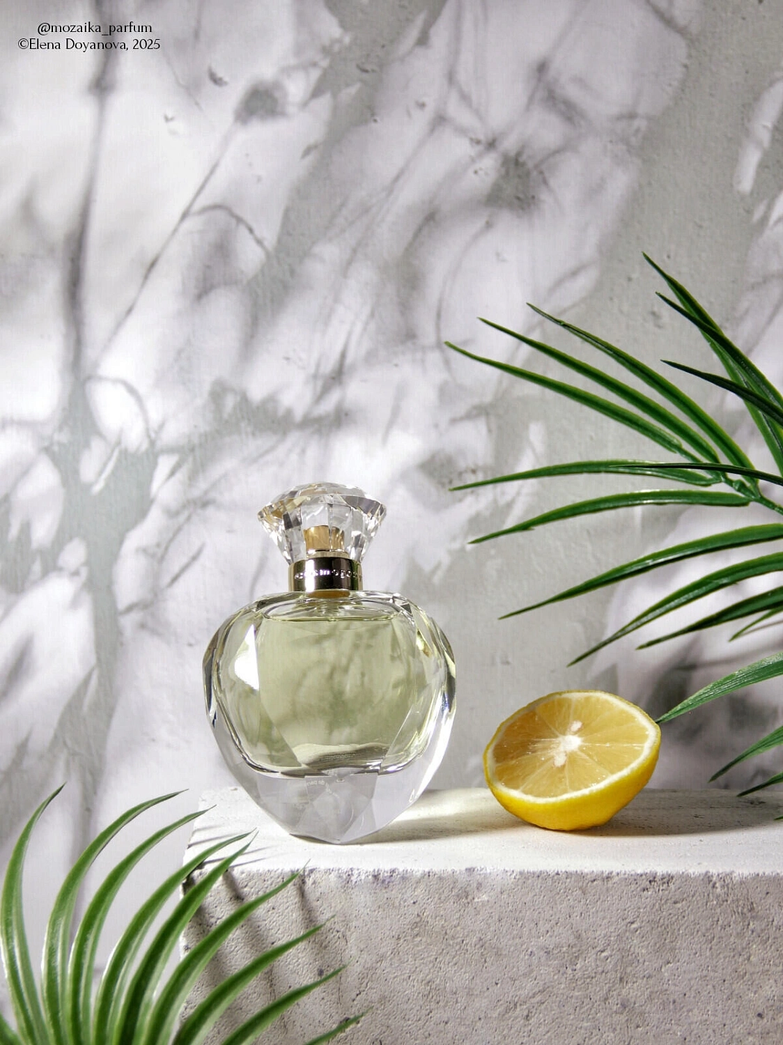 Cosmogony Lemon Slice