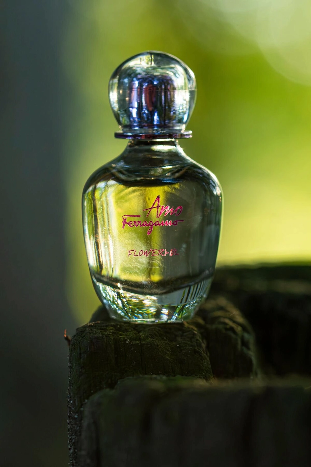 Salvatore Ferragamo Amo Ferragamo Flowerful