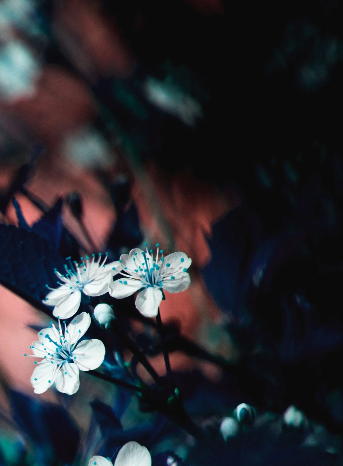 Maison de L'Asie Lost Lovers