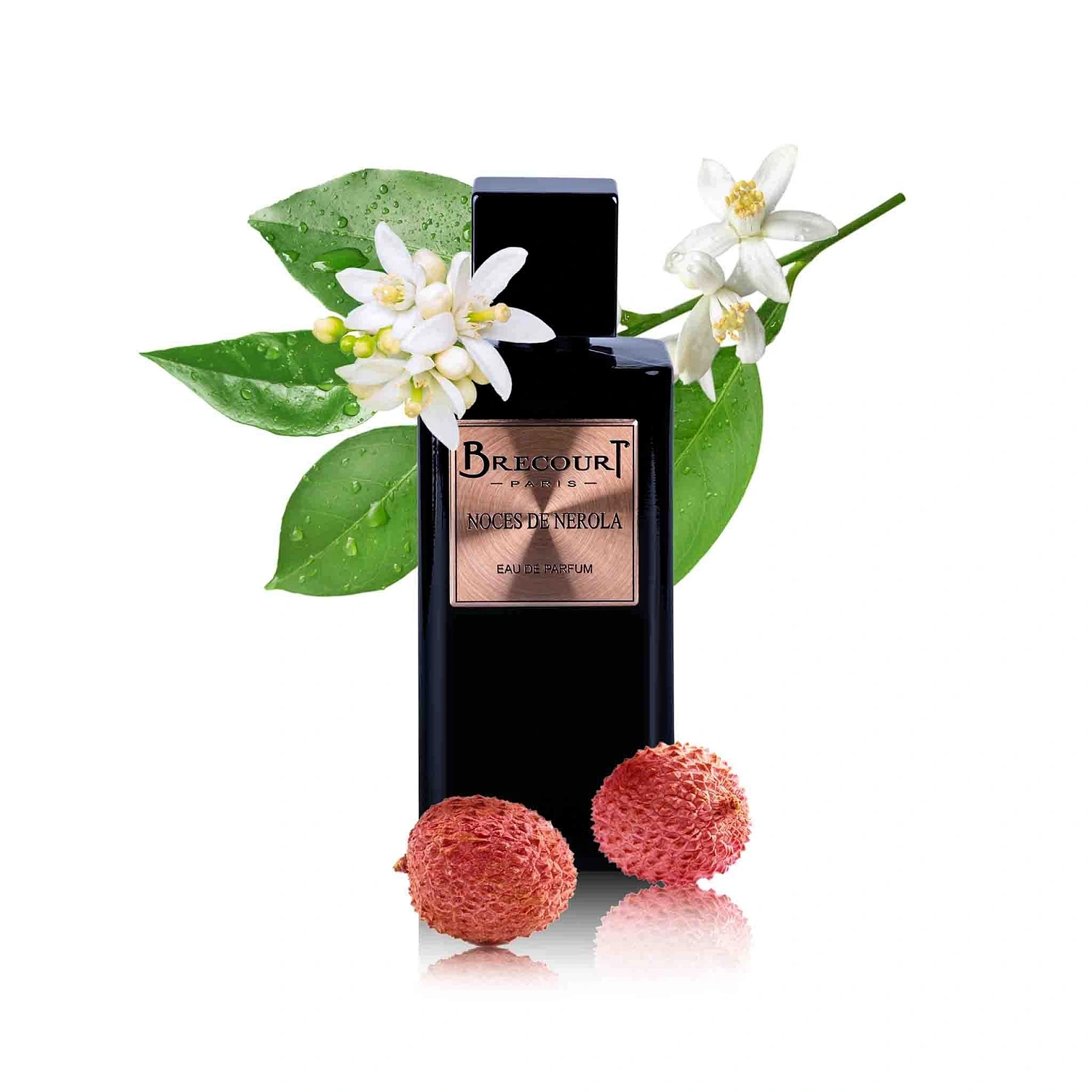 Brecourt Noces de Nerola