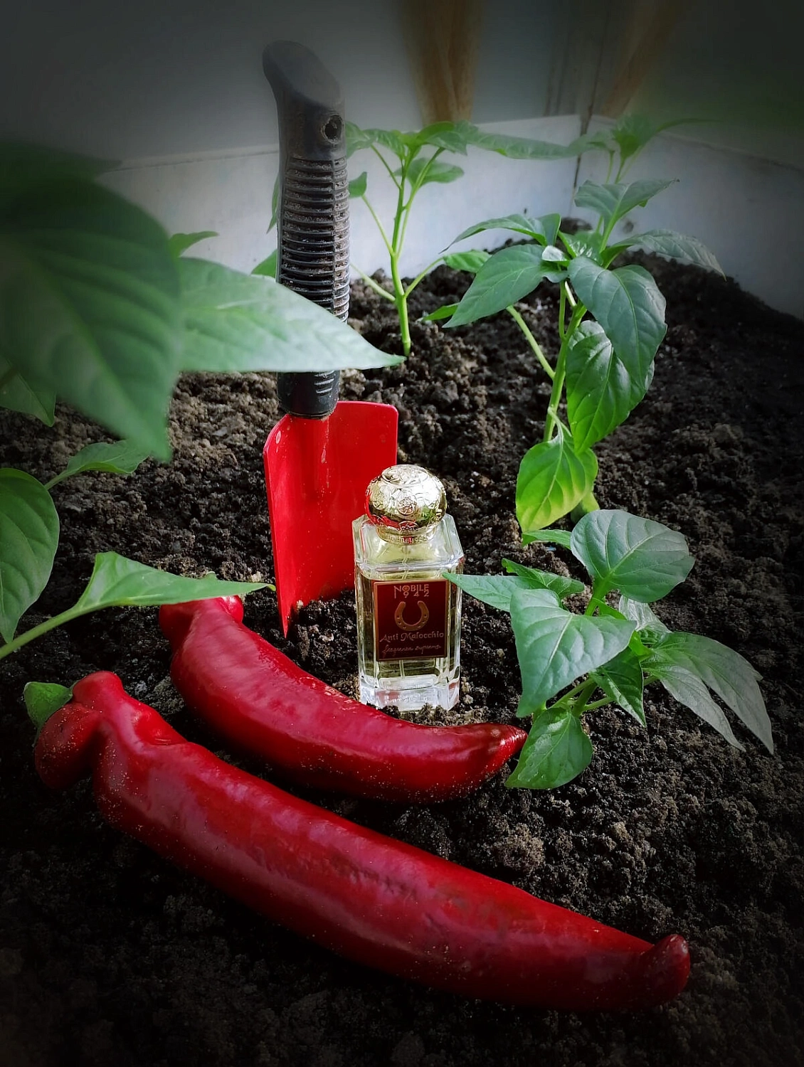 Nobile 1942 Anti Malocchio