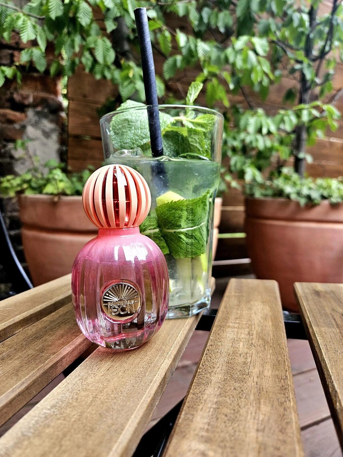 Antonio Banderas The Icon Splendid