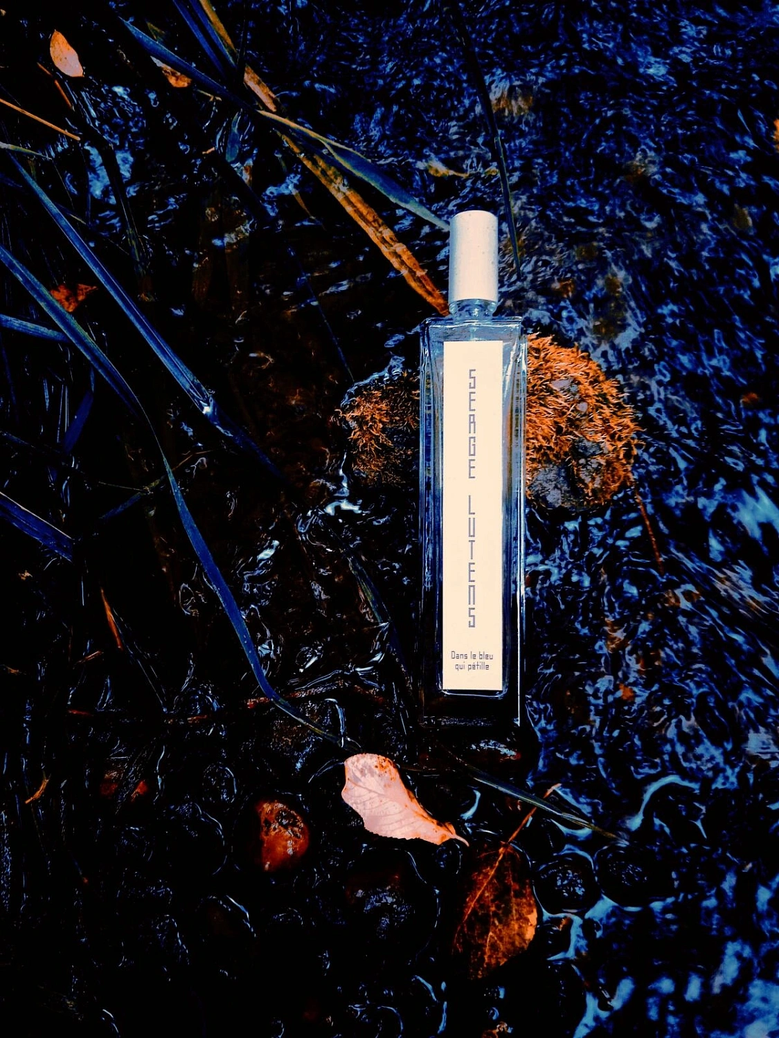 Serge Lutens Dans Le Bleu Qui Petille Serge Lutens Dans Le Bleu Qui Petille