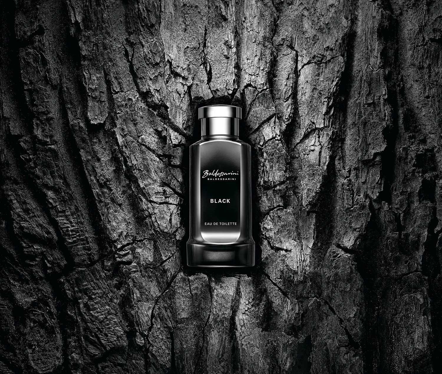 Baldessarini Black