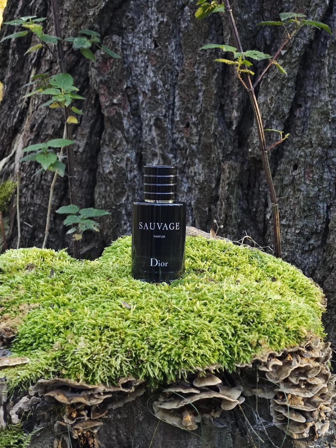 Christian Dior Sauvage 2015