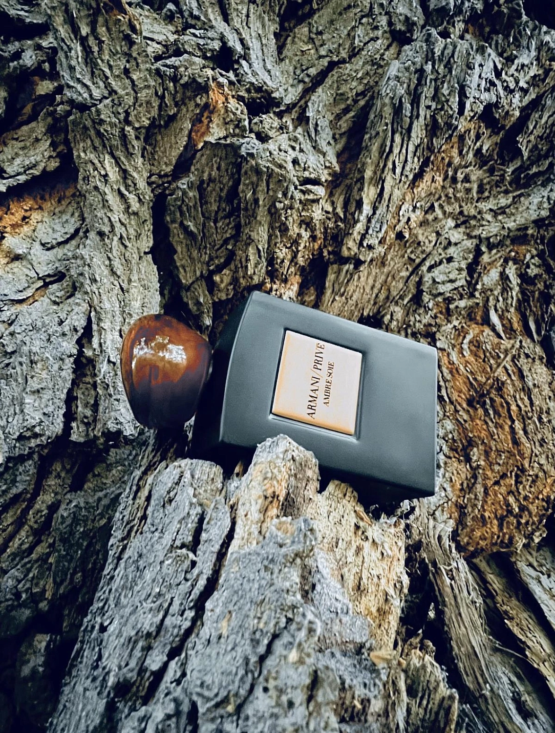 ARMANI Prive Ambre Soie