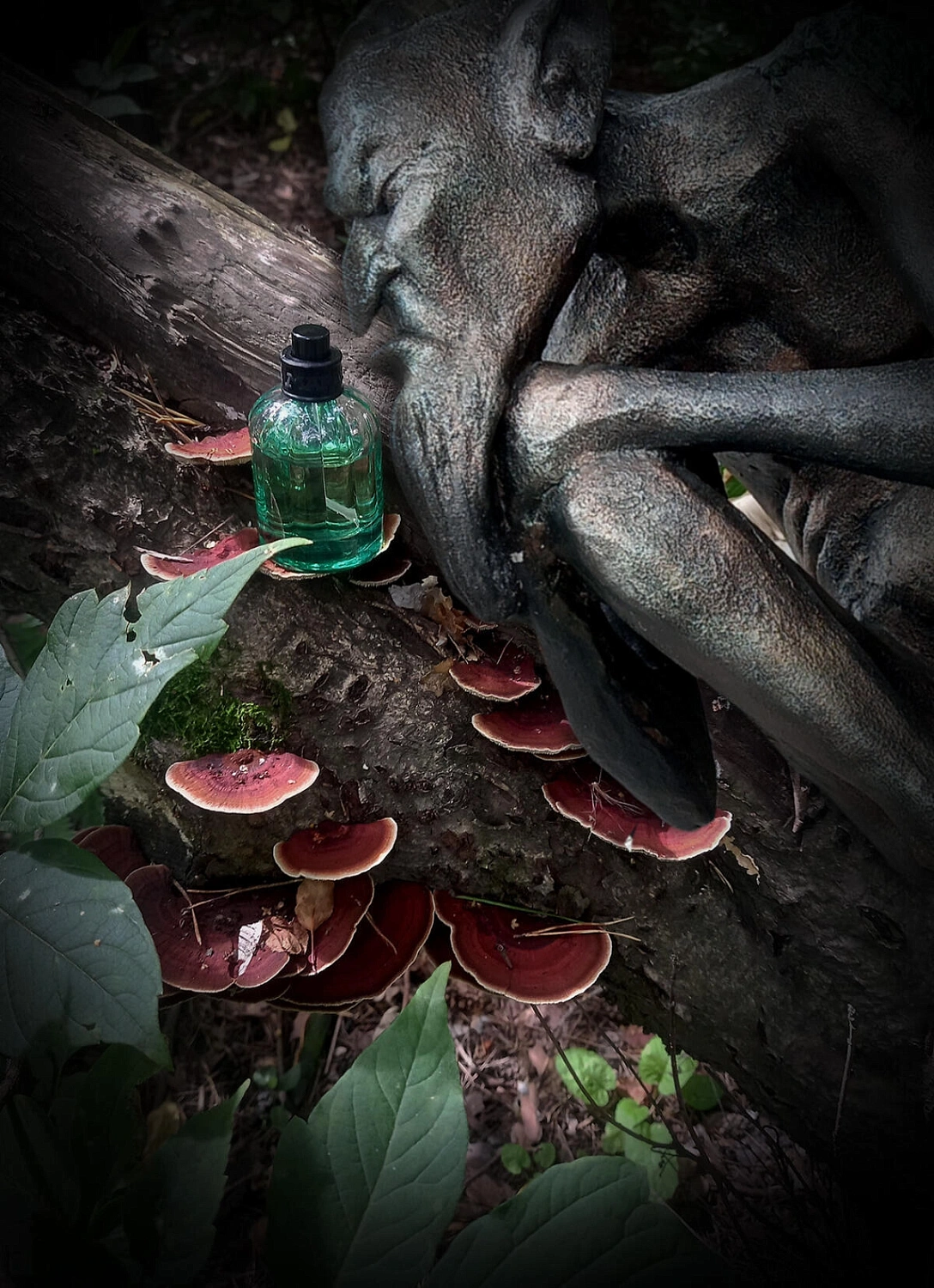 La Martina Colonias Intensas N.01 - Alpha Woods