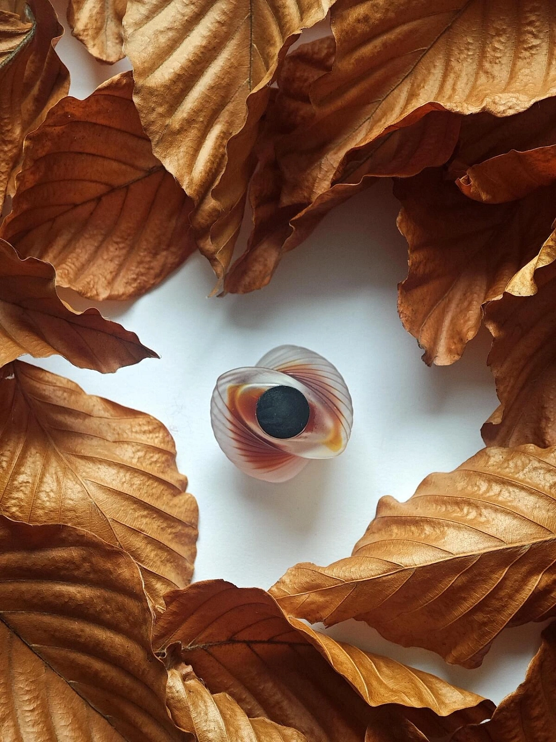 Montana Parfum de Peau