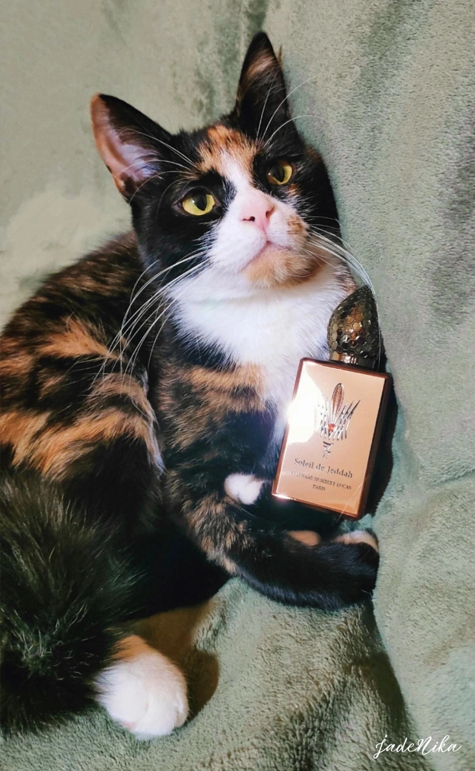 Stephane Humbert Lucas 777 Soleil de Jeddah - Afterglow