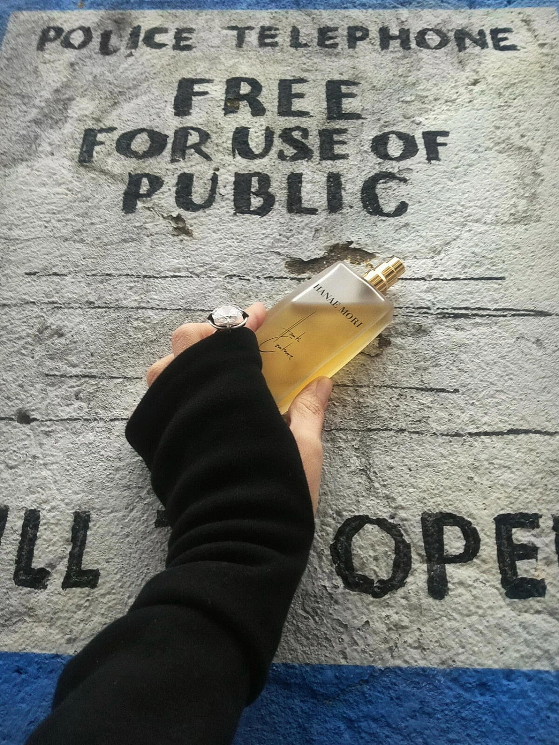 Hanae Mori Haute Couture