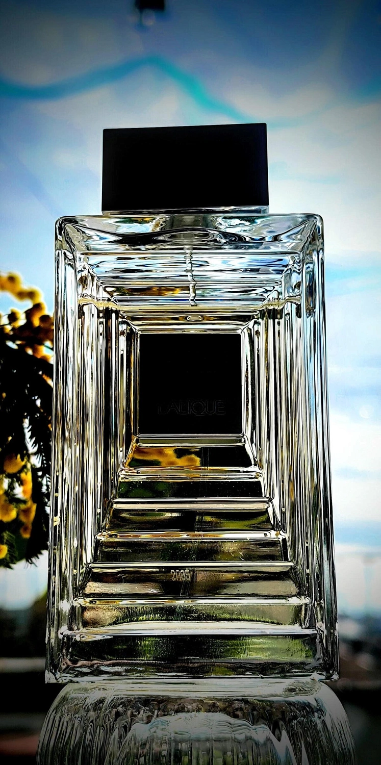 Lalique Hommage a L'Homme