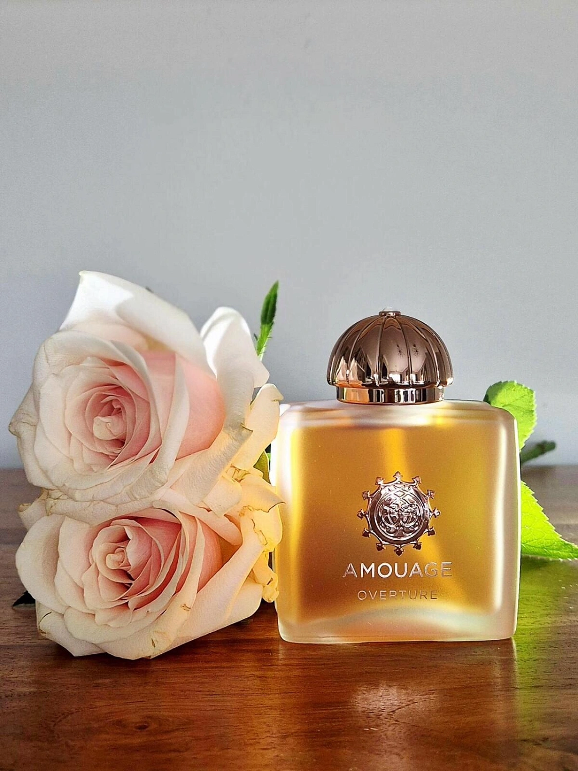 Amouage Overture Women