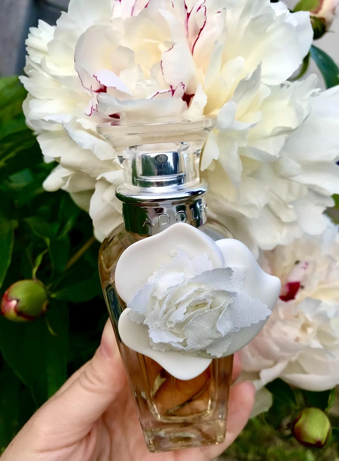 Adolfo Dominguez Agua Fresca de Rosas Blancas