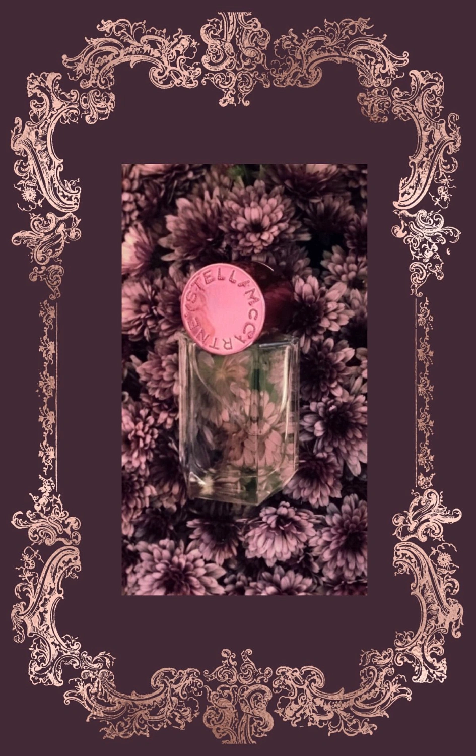 Stella McCartney Pop Stella McCartney Pop
