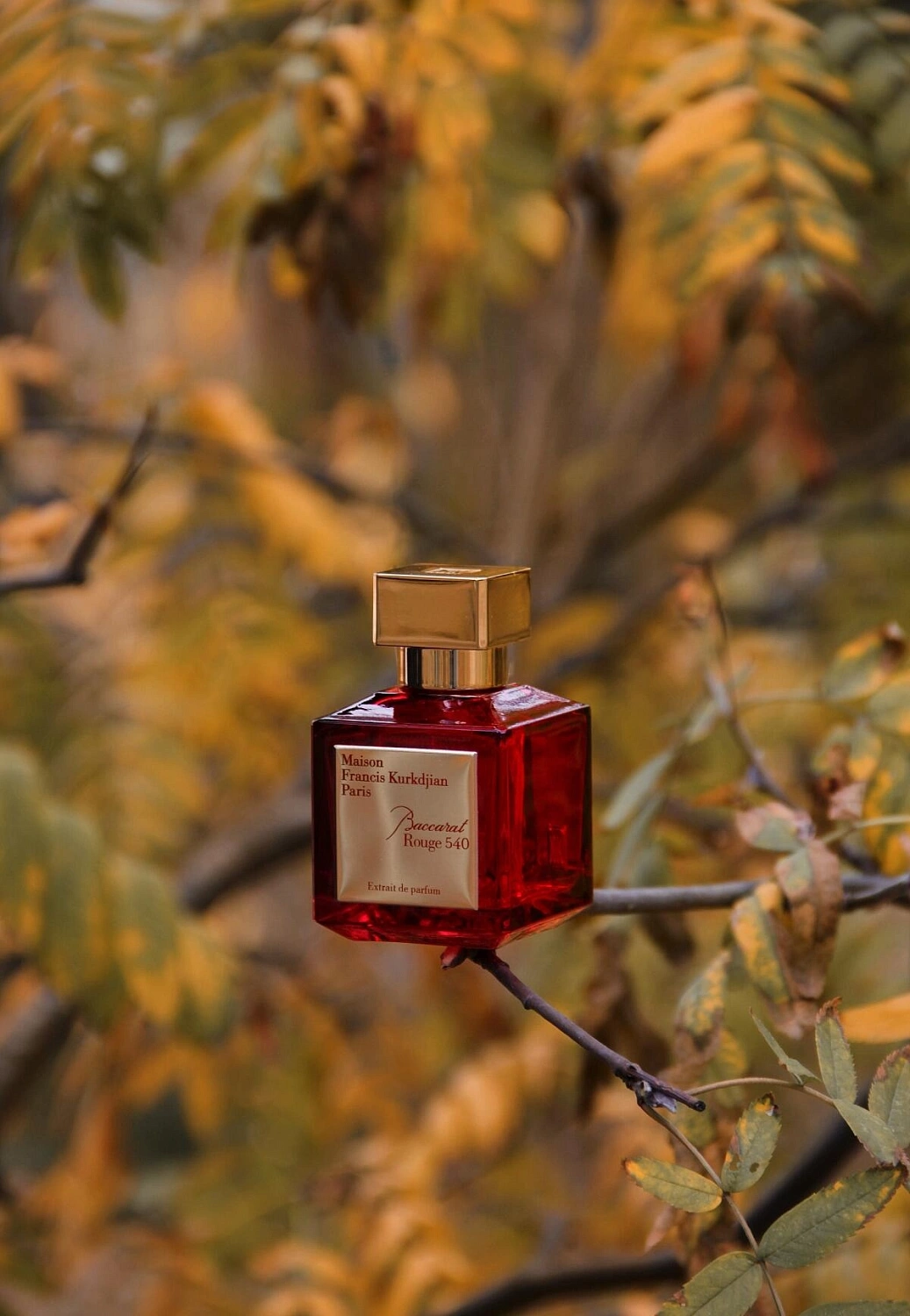 Maison Francis Kurkdjian Baccarat Rouge 540 Extrait de Parfum