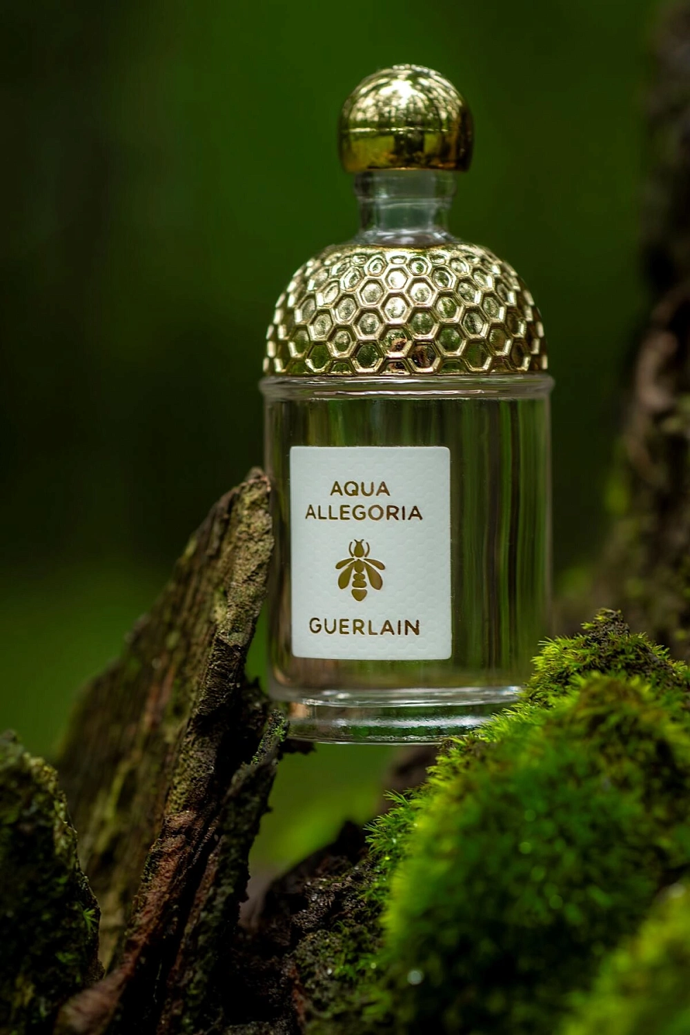 Guerlain Aqua Allegoria Rosa Rossa