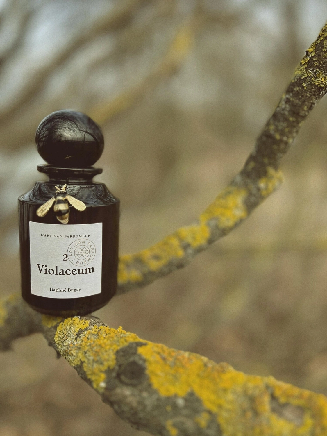 L'Artisan Parfumeur Natura Fabularis 2 Violaceum