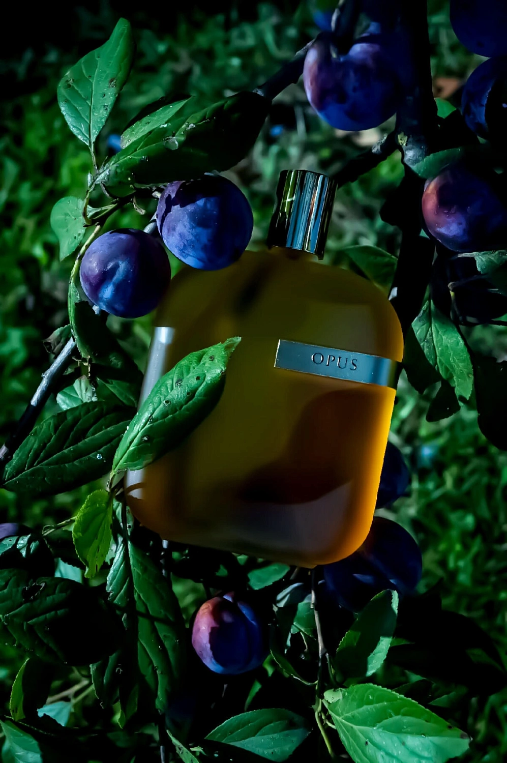 Amouage The Library Collection Opus I