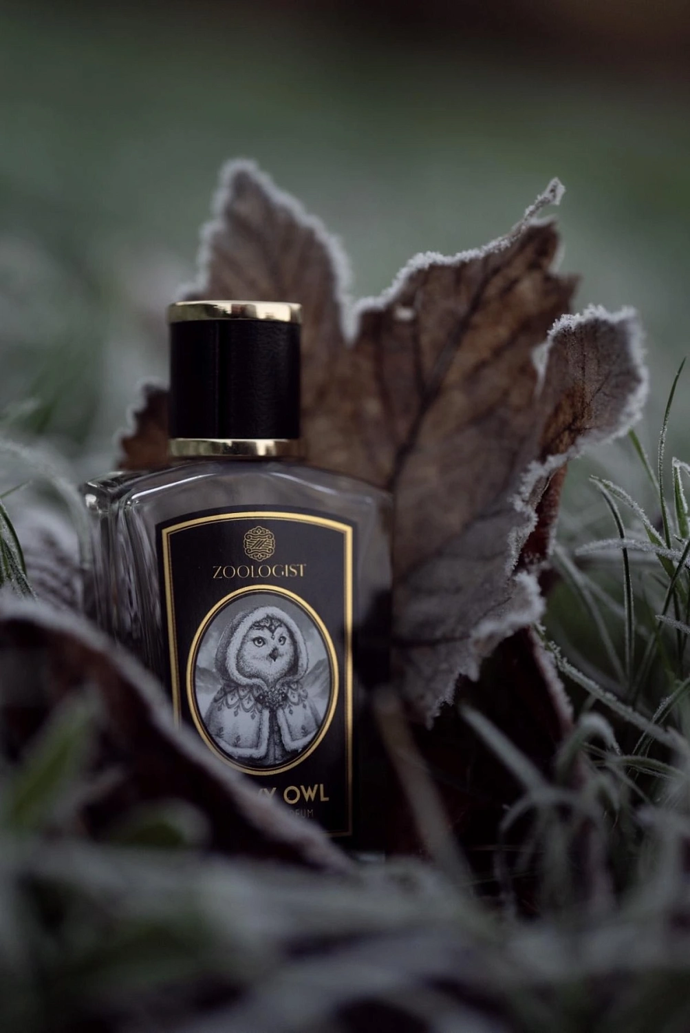 Zoologist Perfumes Snowy Owl Zoologist Perfumes Snowy Owl
