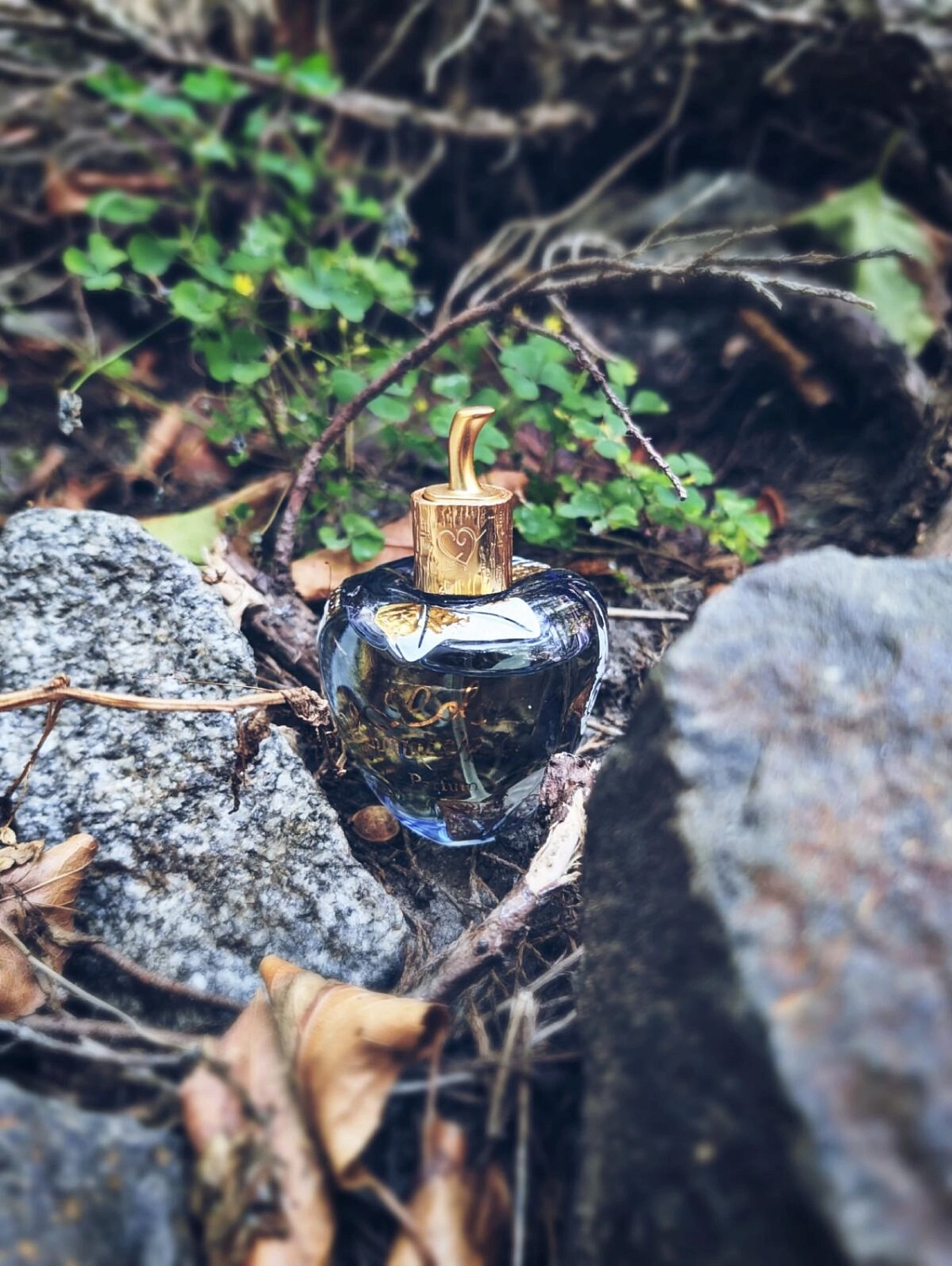 Lolita Lempicka Le Parfum 2021