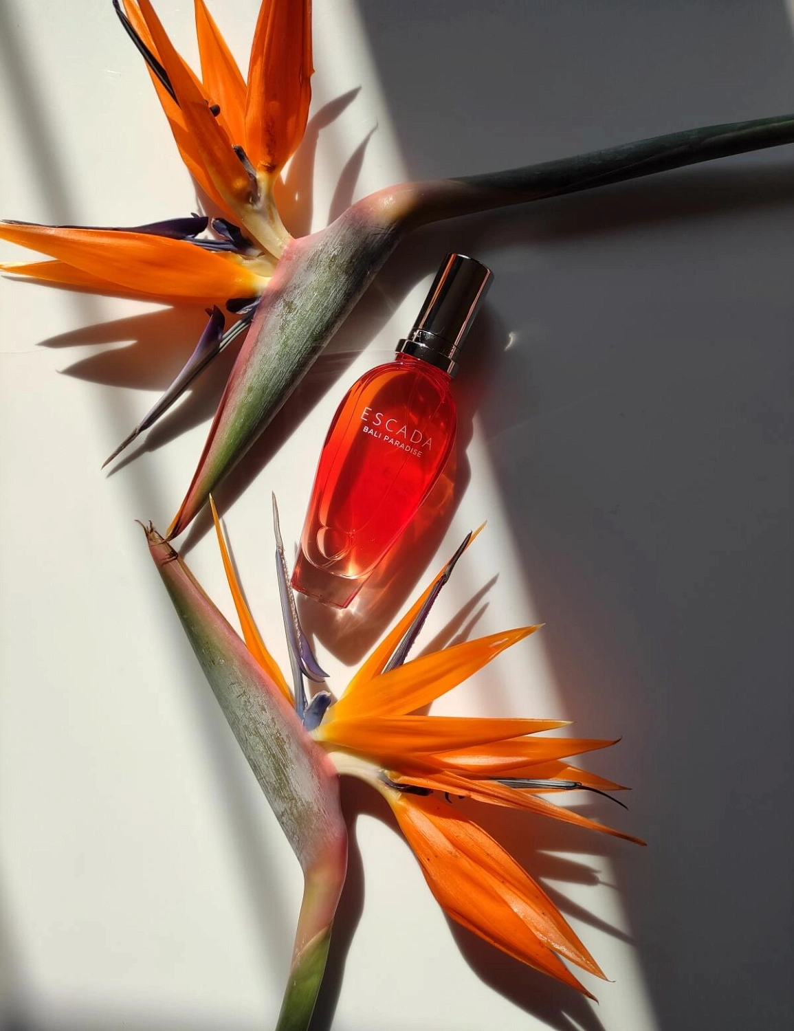 Escada Bali Paradise