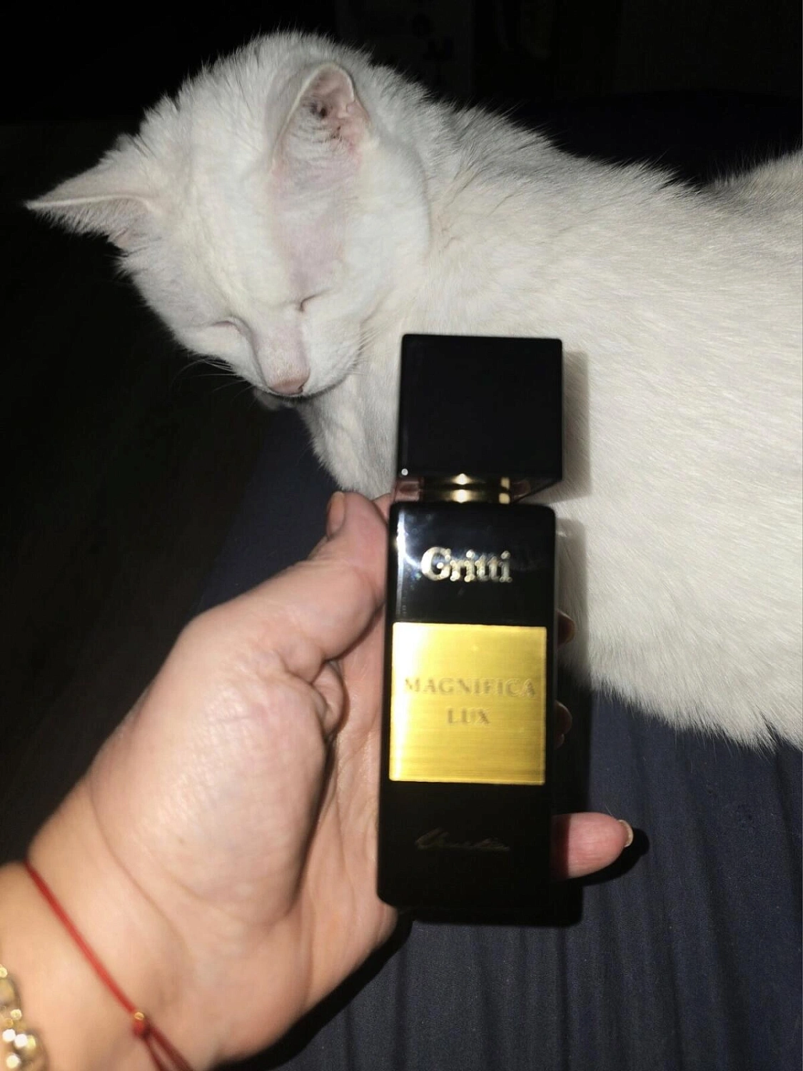 Gritti Magnifica Lux