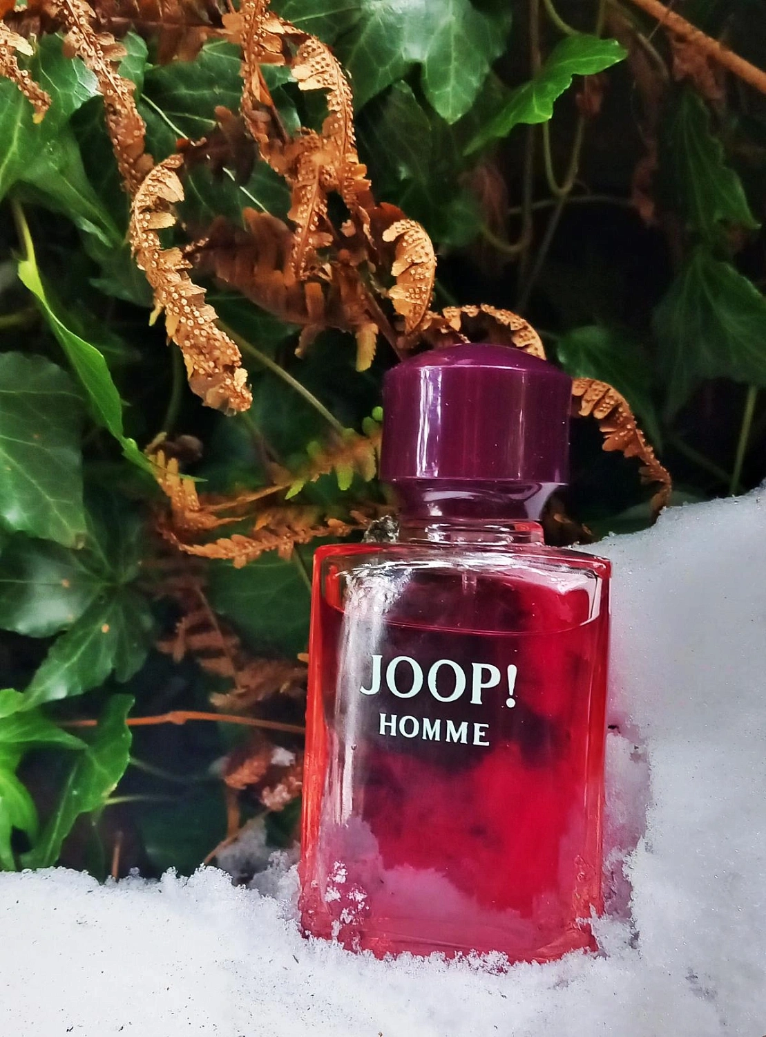 Joop! Homme