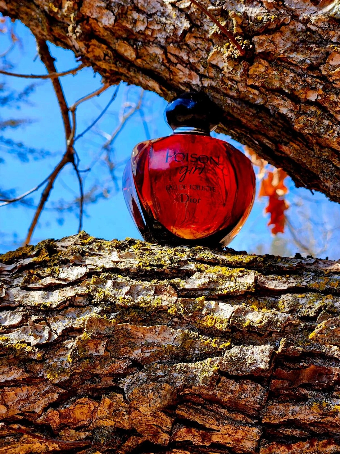 Christian Dior Poison Girl