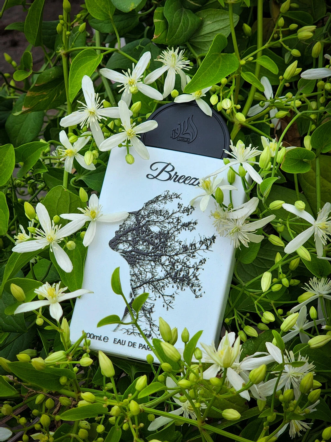 Lattafa Pride Breeze